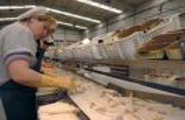 introduccion de las principales industrias al concepto de calidad