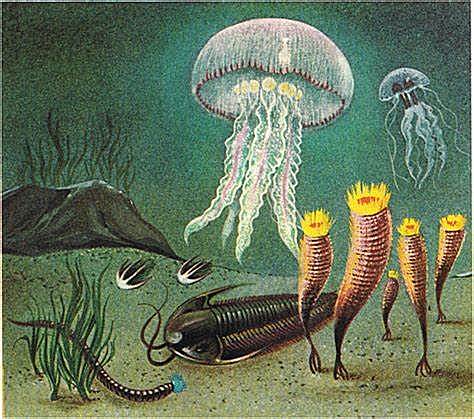 Mitmerakuliste organismide teke