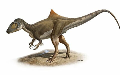 Esimesed dinosaurused