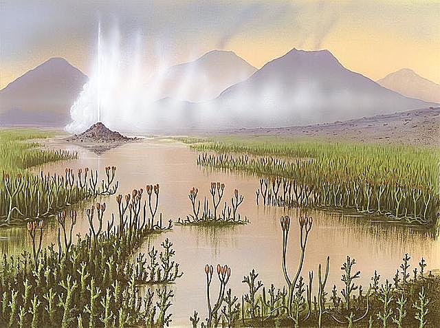 Esimesed maismaataimed