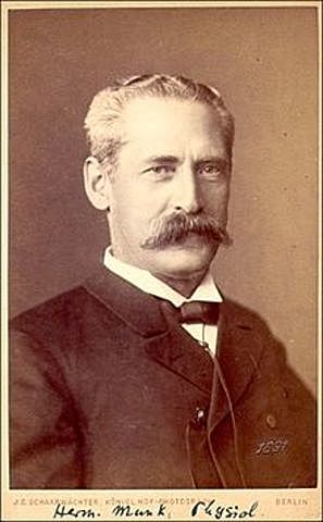 HERMANN MUNK (Ceguera psíquica)