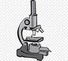 Anton Van Leeuwenhoek viewed blood cells under a microscope