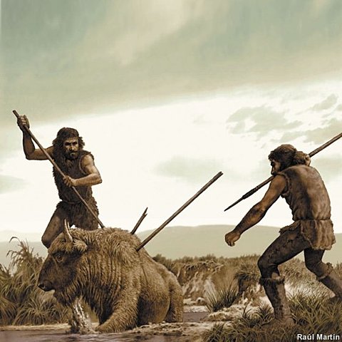 HOMO SAPIENS SAPIENS