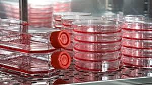 Mayo clinic developed a way to store blood for transfusions