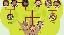 Timeline: Árbol genealógico y principales logros individualizados