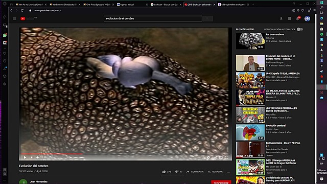 cerebro de un reptil