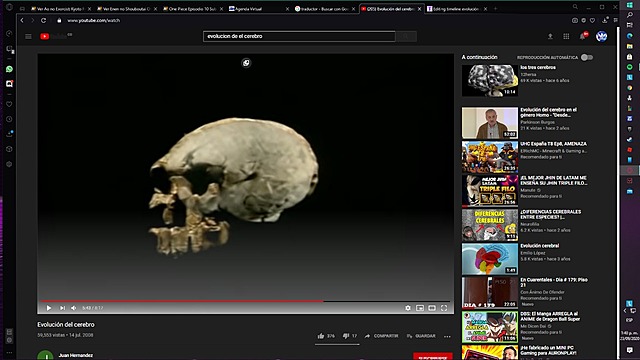 cerebro del homohabilis