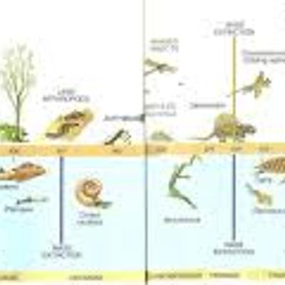 Timeline: Geogronoloogiline skaala Anna-Liisa EV