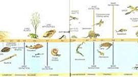 Timeline: Geogronoloogiline skaala Anna-Liisa EV