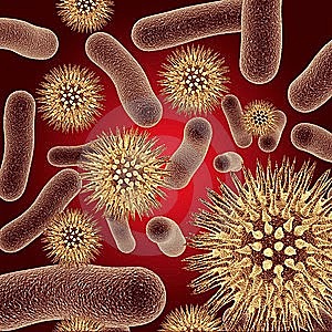 Células procariotas