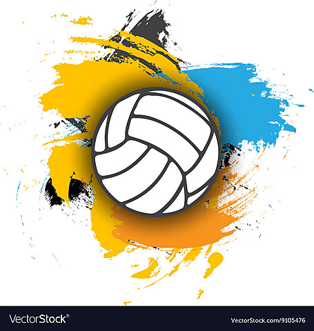 VOLEYBALL