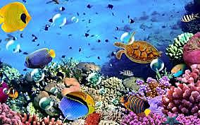 Mundo subacuático - París