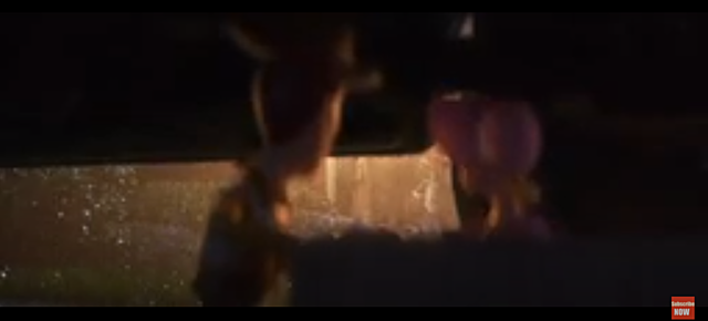 Prolog/ flash back 5