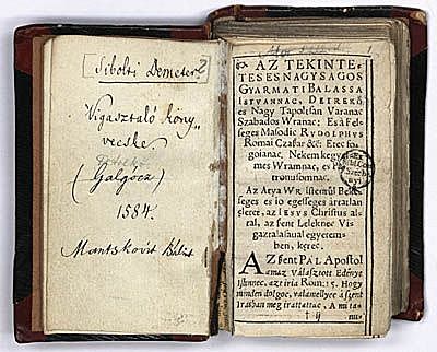 Beteg lelkeknek való füves kertecske