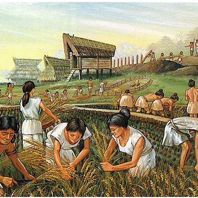 Timeline: Historia sobre la profesión de nutrición