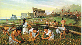 Timeline: Historia sobre la profesión de nutrición