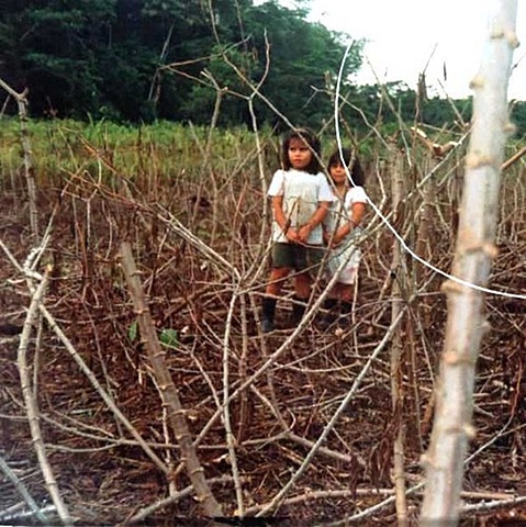 Fumigaciones bajo Putumayo