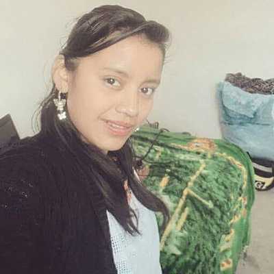 Timeline: LINEA DE TIEMPO TERESA ICAL