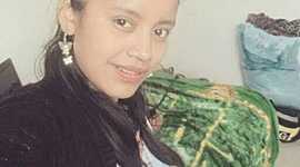 Timeline: LINEA DE TIEMPO TERESA ICAL