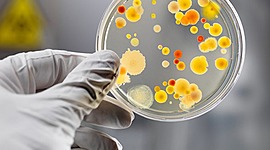 Timeline: EVOLUCION DE LA EPIDEMIOLOGIA