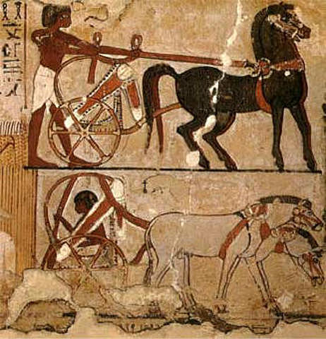 Avance en el transporte 2000 A.C.