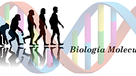 Timeline: APROXIMACIÓN HISTÓRICA DE LA BIOLOGÍA MOLECULAR