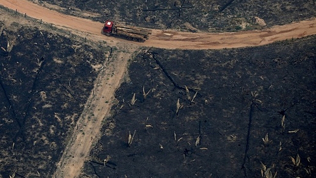 Incendio en el Amazonas (internacional)