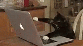 Timeline: La evolución de las tics