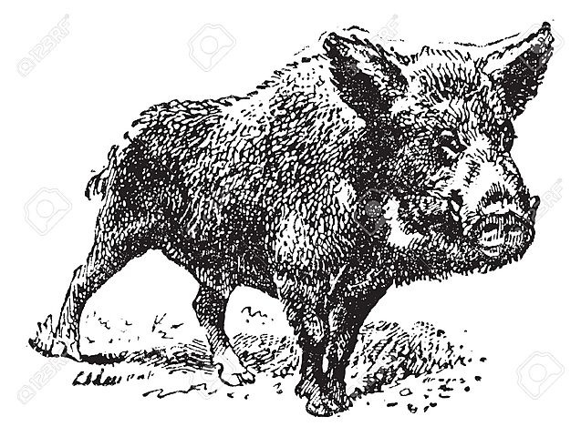 Como comenzó su evolución