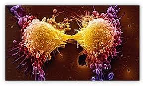 El comienzo de los estudios