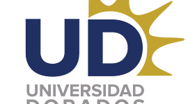 Timeline: Desarrollos tecnologicos