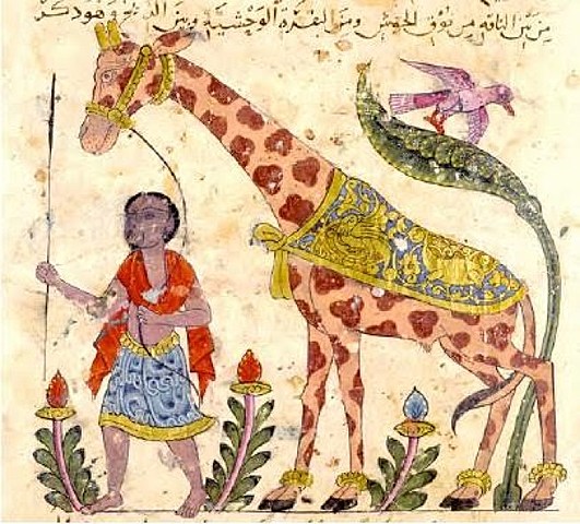 El libro de los animales