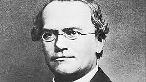 Gregor Mendel