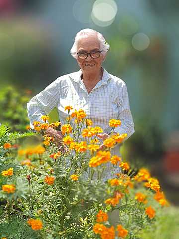 FLORY HERNANDEZ CHINCHILLA