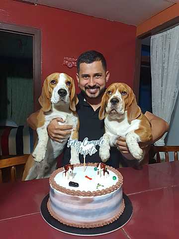 LUIS FERNANDO MORALES SOLIS