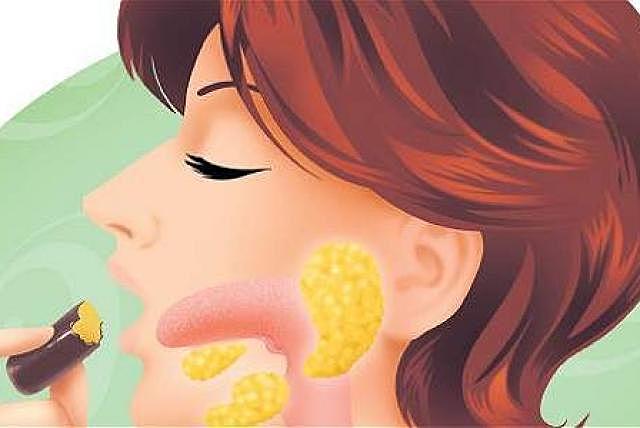 El estudio de las glándulas digestivas.