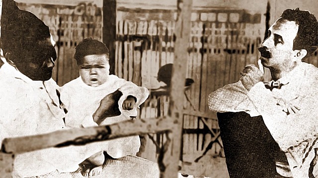 Reorganização dos Serviços de Saúde Pública