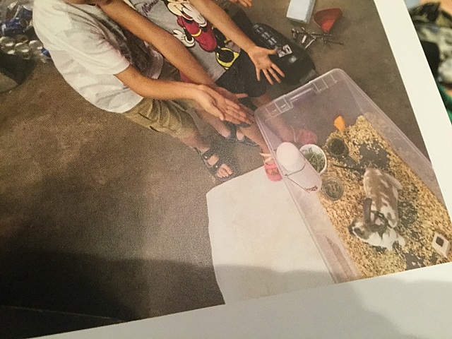 Caramel mon petit bébé