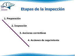 Etapa de la inspección