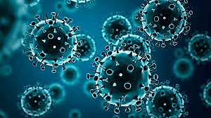 Pandemia de gripe A - H1N1