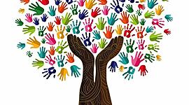 Timeline: Árbol genealógico y principales logros individualizado