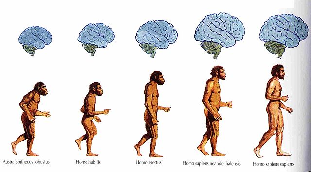Evolución biológica