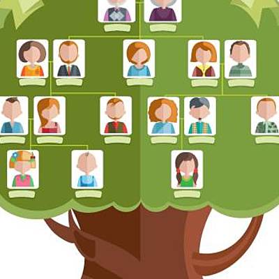 Timeline: Árbol genealógico y logros