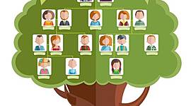 Timeline: Árbol genealógico y logros