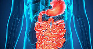 La importancia de una buena alimentación.