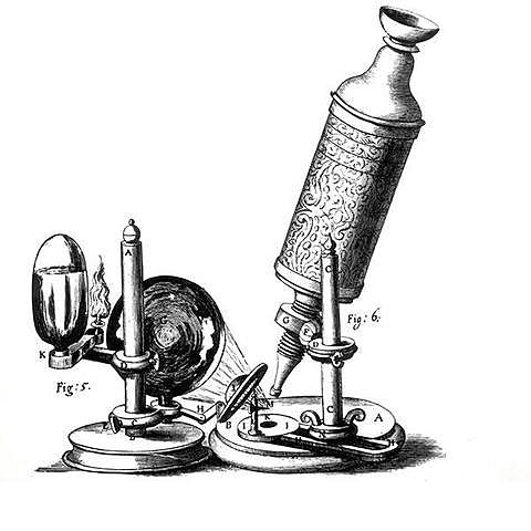Anton Van Leeuwenhoek