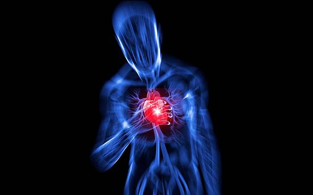 Comenzaron grandes estudios de cohortes en los Estados Unidos y en Inglaterra para explicar el riesgo de padecer cáncer y para la aparición de enfermedad cardiovascular.