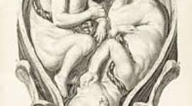 Timeline: Antecedentes Históricos de la Enfermería Gineco-obstétrica // Carrera Cisneros Adrián Daniel y Flores Martínez María Fernanda// 3352