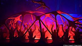 Timeline: Circos más importantes