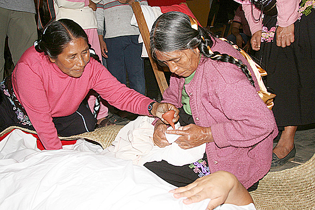 Antecedentes Prehispánicos y del Virreinato